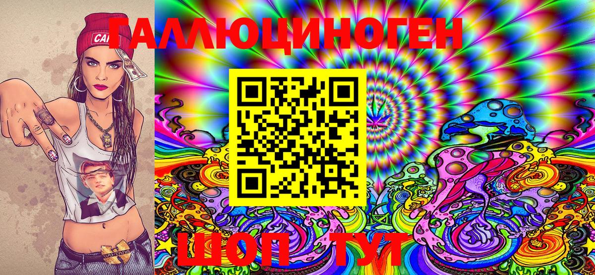 Псилоцибиновые грибы Psilocybe  Вход с VPN  Александров 